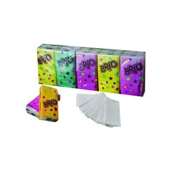 MOUCHOIRS POCKET OUATE 21X21CM PURE CELLULOSE BLANC 3PLIS